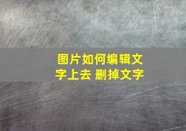 图片如何编辑文字上去 删掉文字